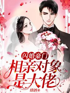 闪婚豪门：相亲对象是大佬