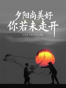 夕阳尚美好你若未走开